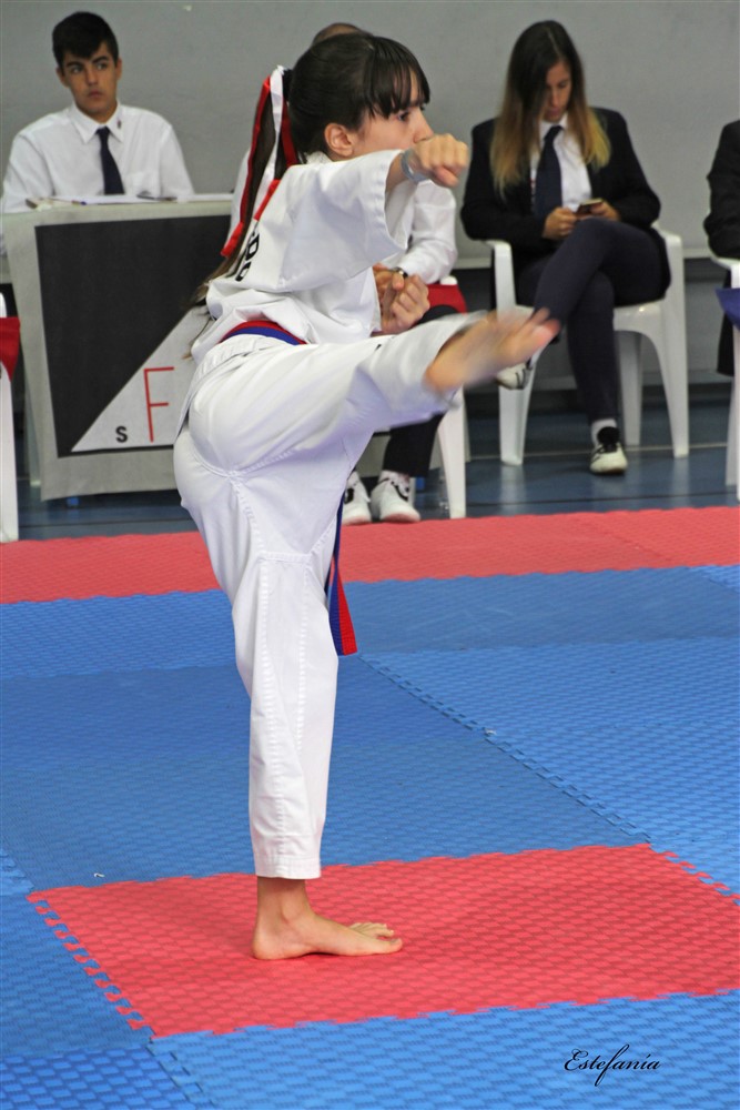 Copa Seul 2018 (433).jpg